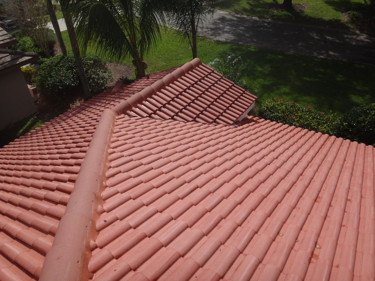 Clean red barrel-tile roof with palm trees